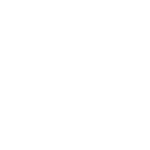 Barbados Stand Up Paddle logo